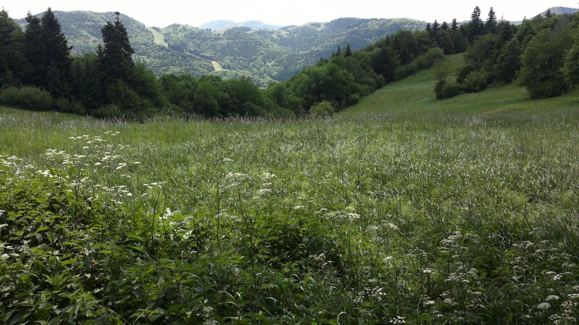 Apartmany Weissov Dom Banská Štiavnica Екстериор снимка